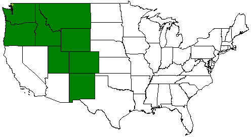 Service Area